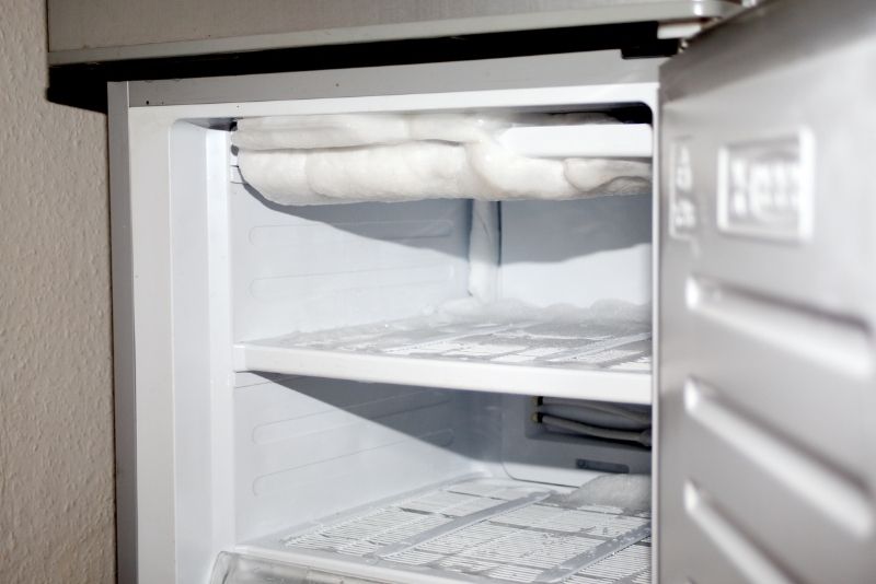 fridge and freezer cleaning services in Newcastle